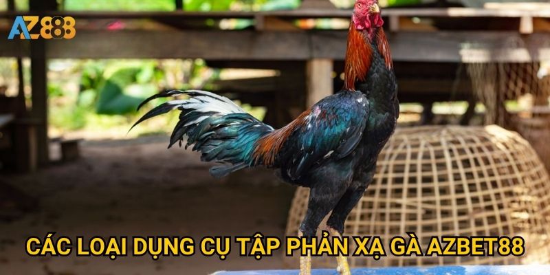 Các loại dụng cụ tập phản xạ gà Azbet88