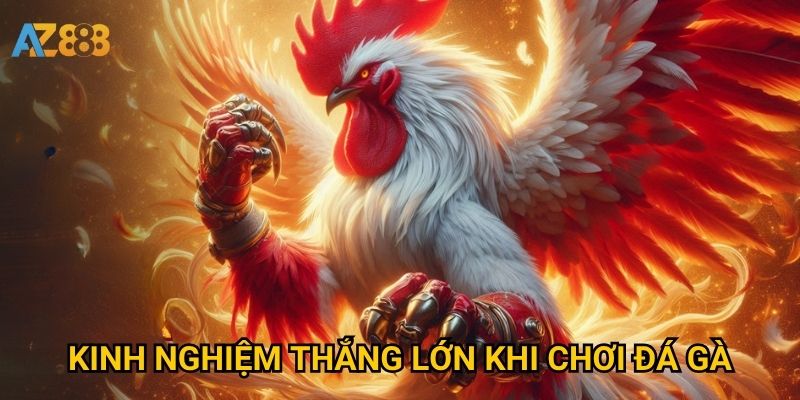 Kinh nghiệm thắng lớn khi chơi đá gà